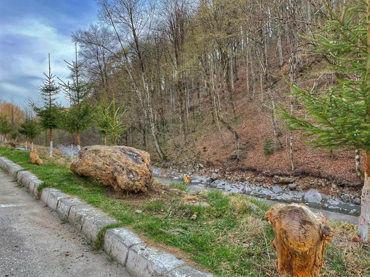 Hotel Gâlma Moroeni Dış mekan fotoğraf